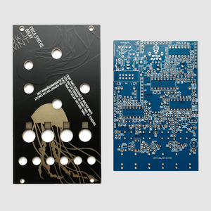 Erica synths Delay PCB + JKLMNT Panel